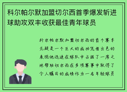 科尔帕尔默加盟切尔西首季爆发斩进球助攻双丰收获最佳青年球员